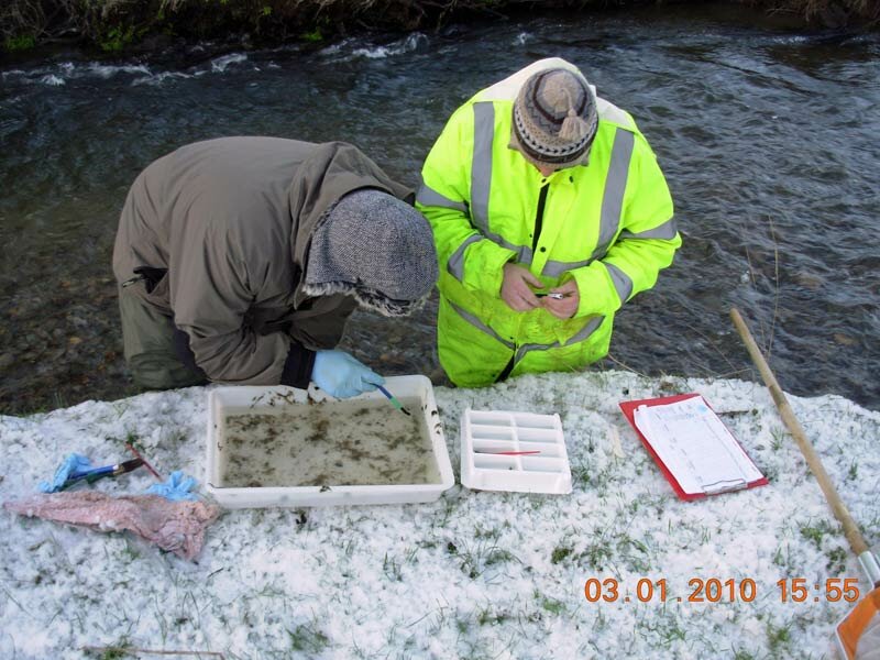 Members of Llanybydder Angling Association braving the elements for the 2009 -10 winter sample 