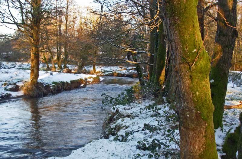 Nant Cledlyn 